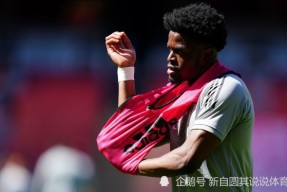 开云- 阿森纳 新星 