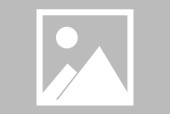 Kaiyun-西亚卡姆新星锐不可当表现突出，老鹰前途光明！
