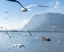  滇池雷霆队鏖战闽南金雕队，网球大奖赛读秒绝平，转换速度占优。边后卫成为亮点